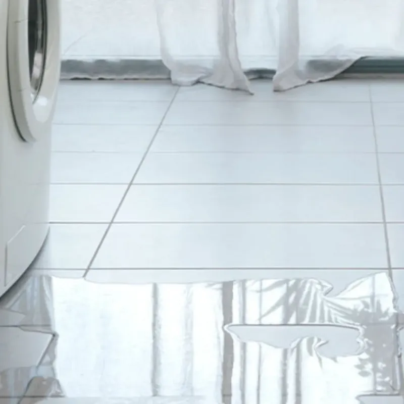 Appliance Leak Cleanup in Arcadia, LA