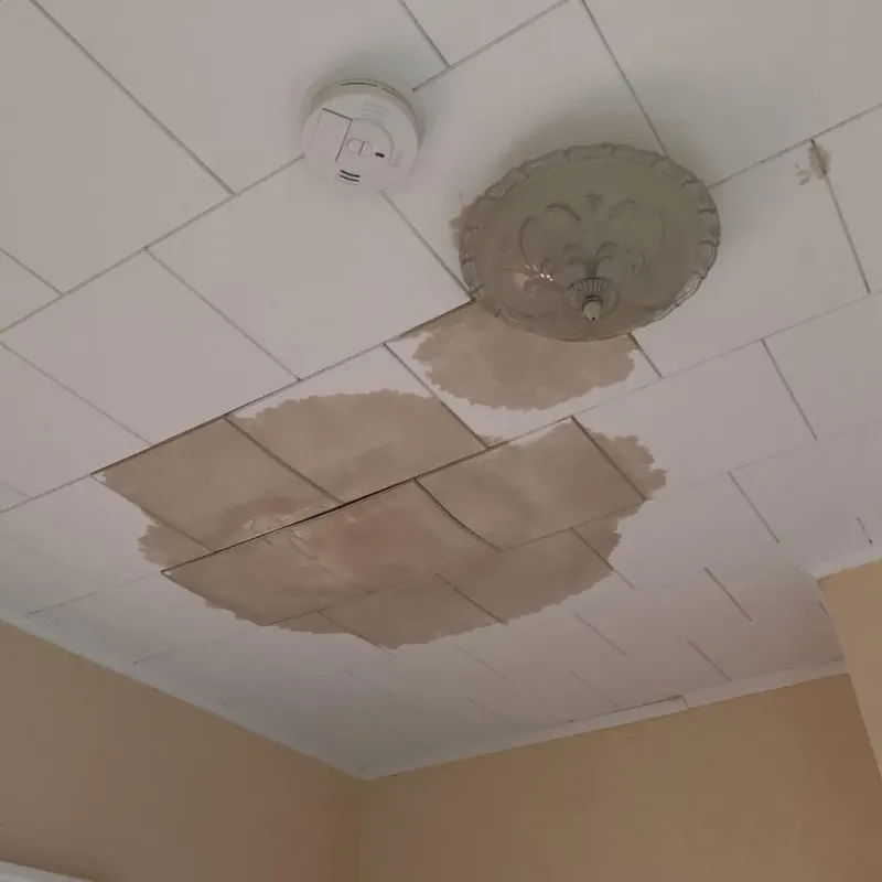 Ceiling Water Damage Repair in Arcadia, LA