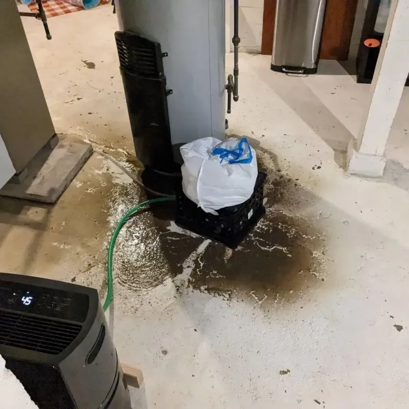 Sewage Backup Cleanup Service in Arcadia, LA